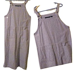 Y2K Mountain Lake Striped Denim Overall Dress Size Medium Petite